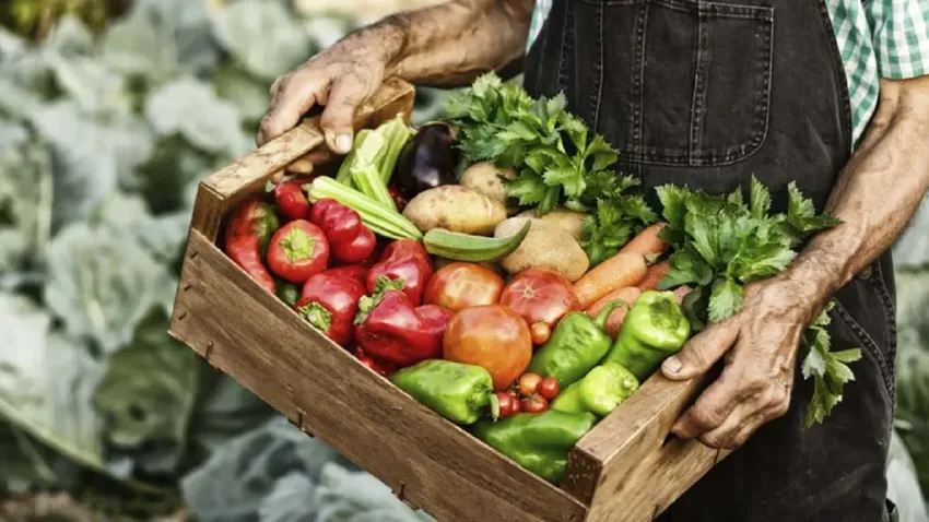 Del productor al consumidor, los precios de los agroalimentos se multiplicaron por 3,1 en julio